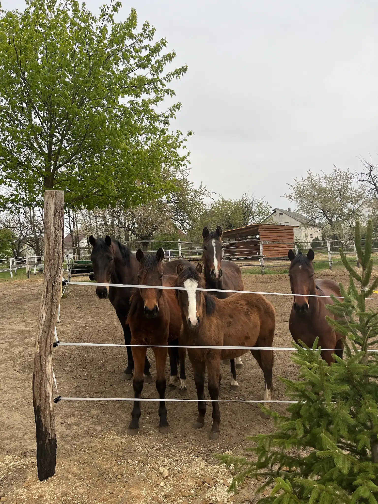 Equarion galéria kép 5