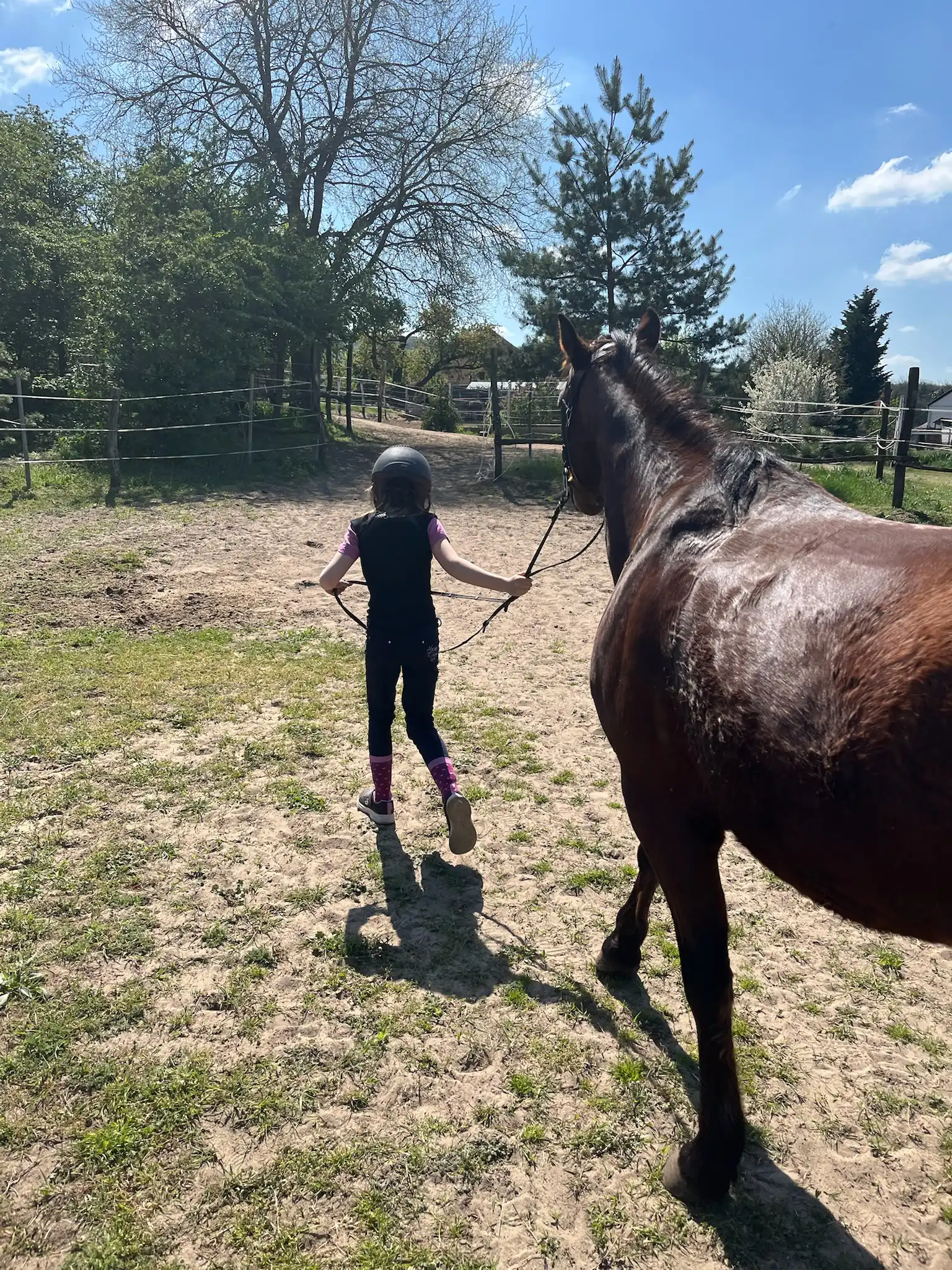 Equarion galéria kép 6