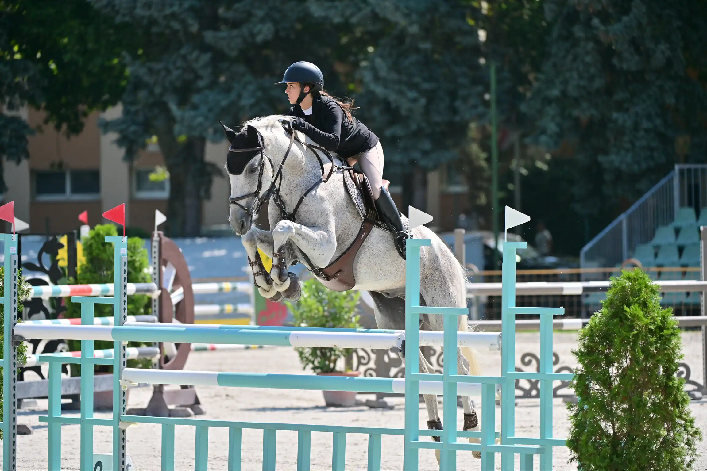 Equarion galéria kép 7