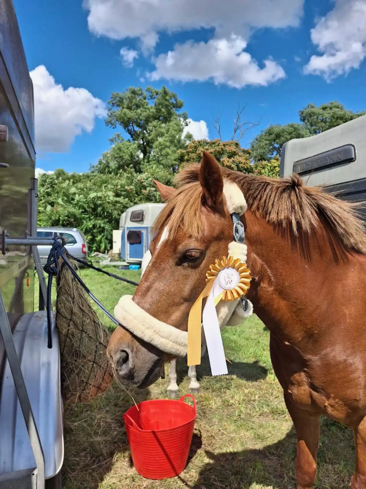 Equarion galéria kép 8