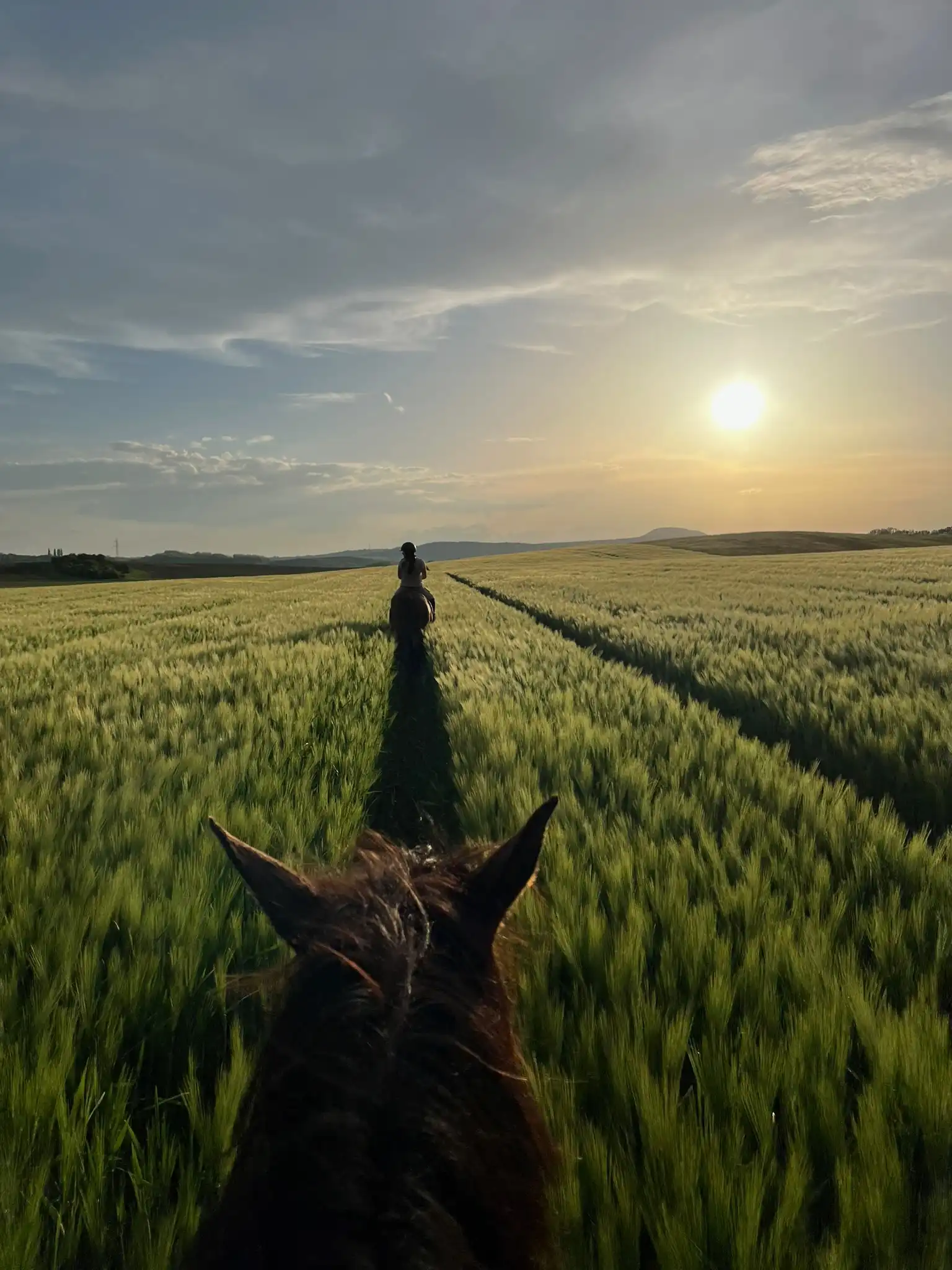 Equarion galéria kép 17