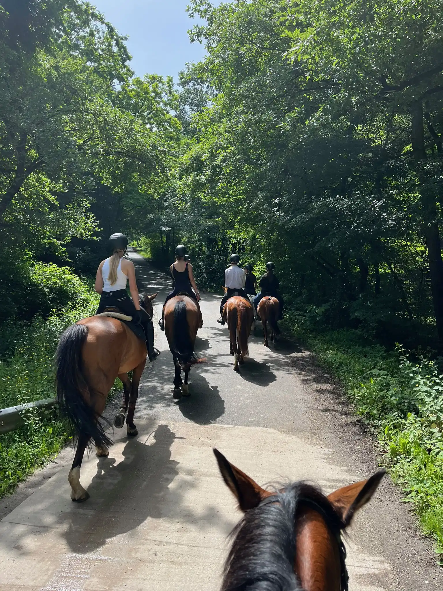 Equarion galéria kép 21