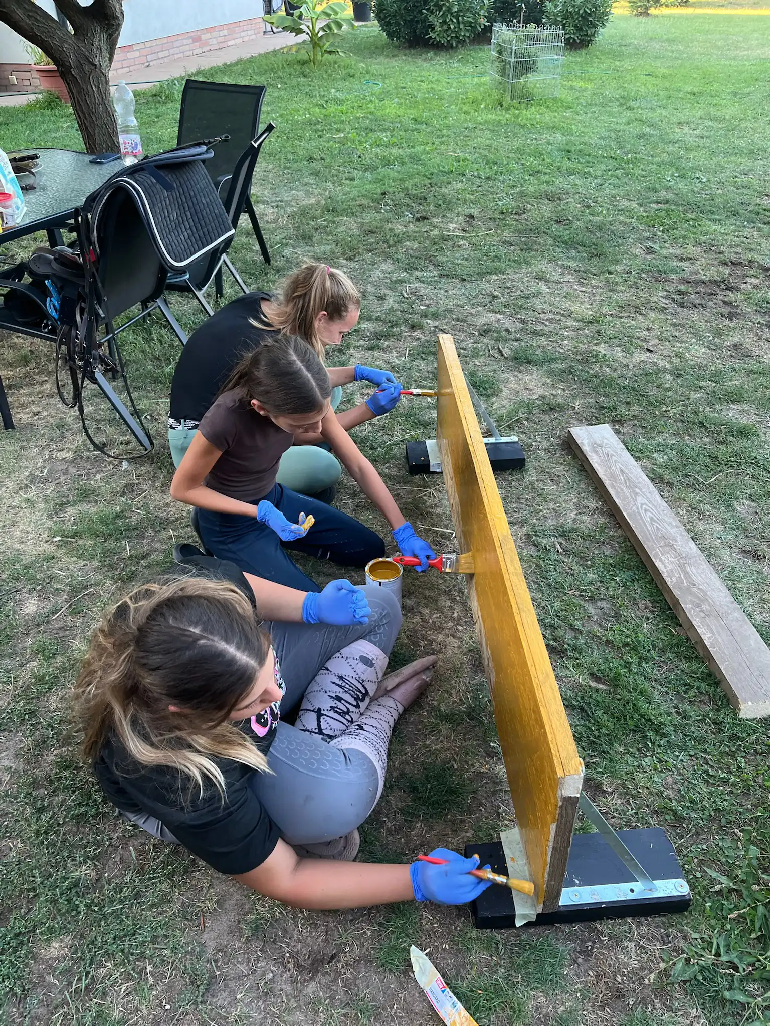 Equarion galéria kép 22