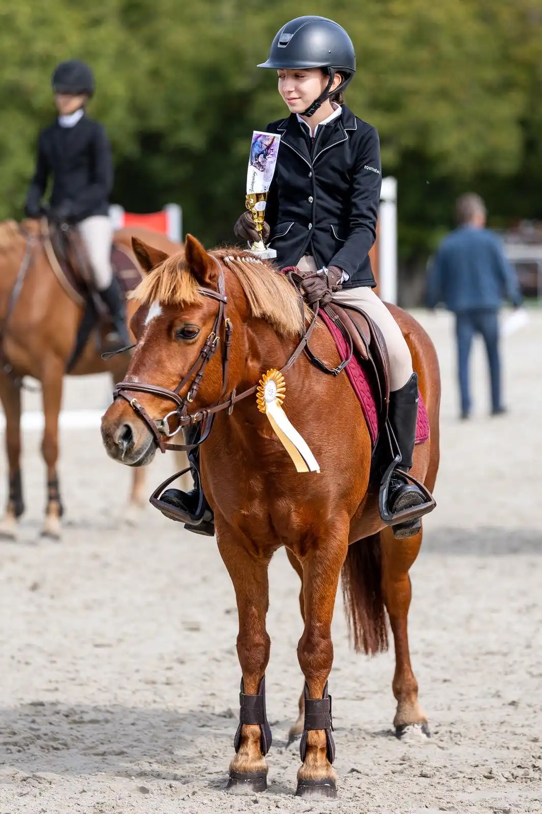 Equarion galéria kép 27