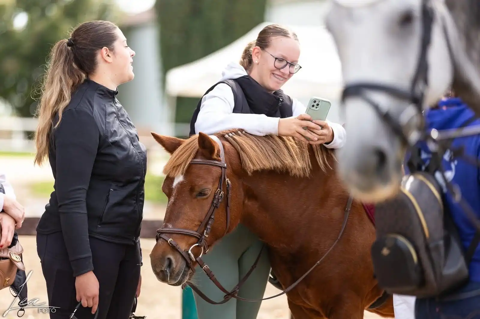 Equarion galéria kép 28