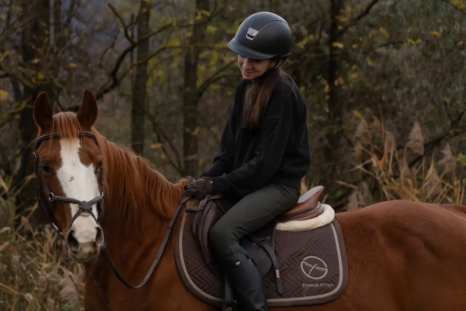 Equarion galéria kép 29