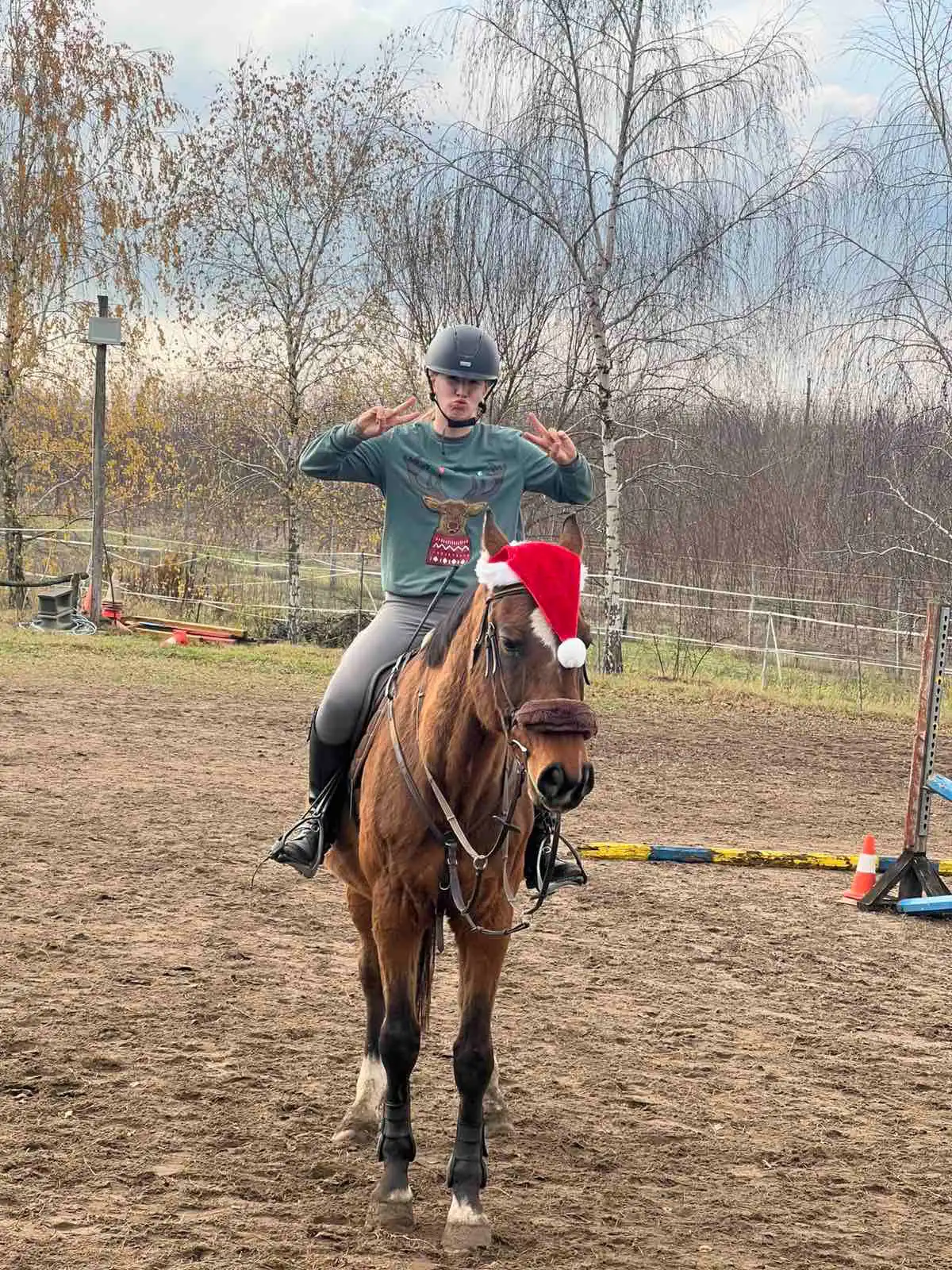 Equarion galéria kép 31