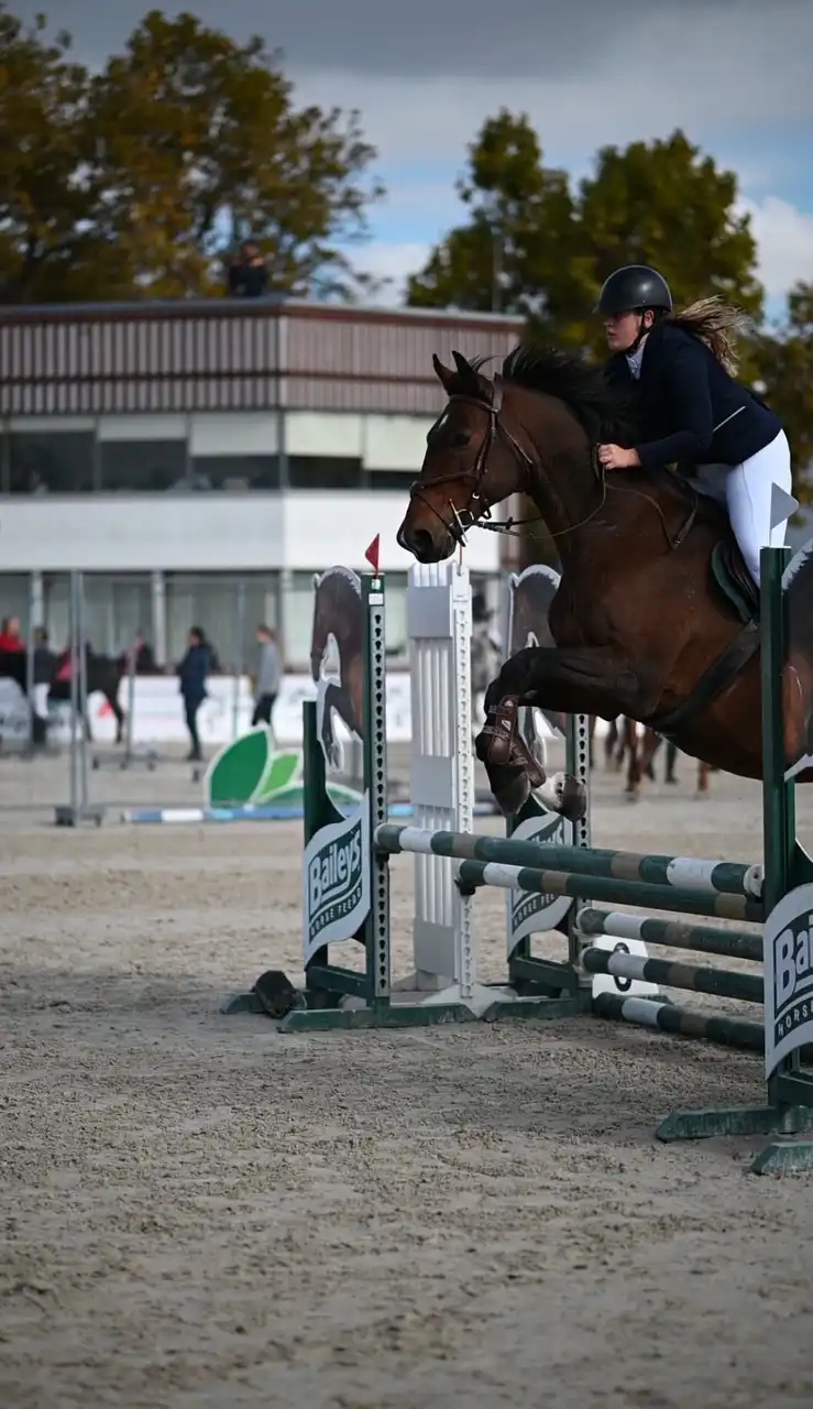 Equarion galéria kép 30