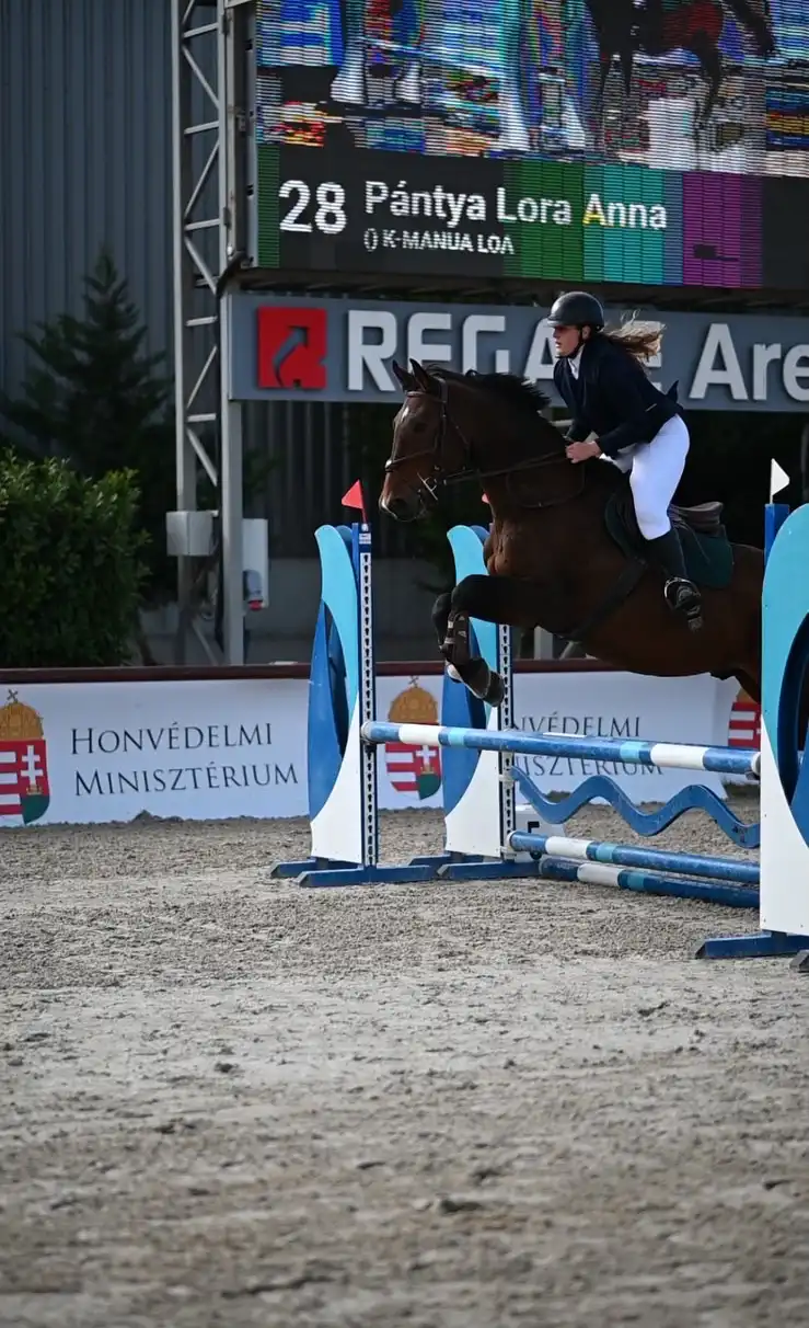 Equarion galéria kép 32