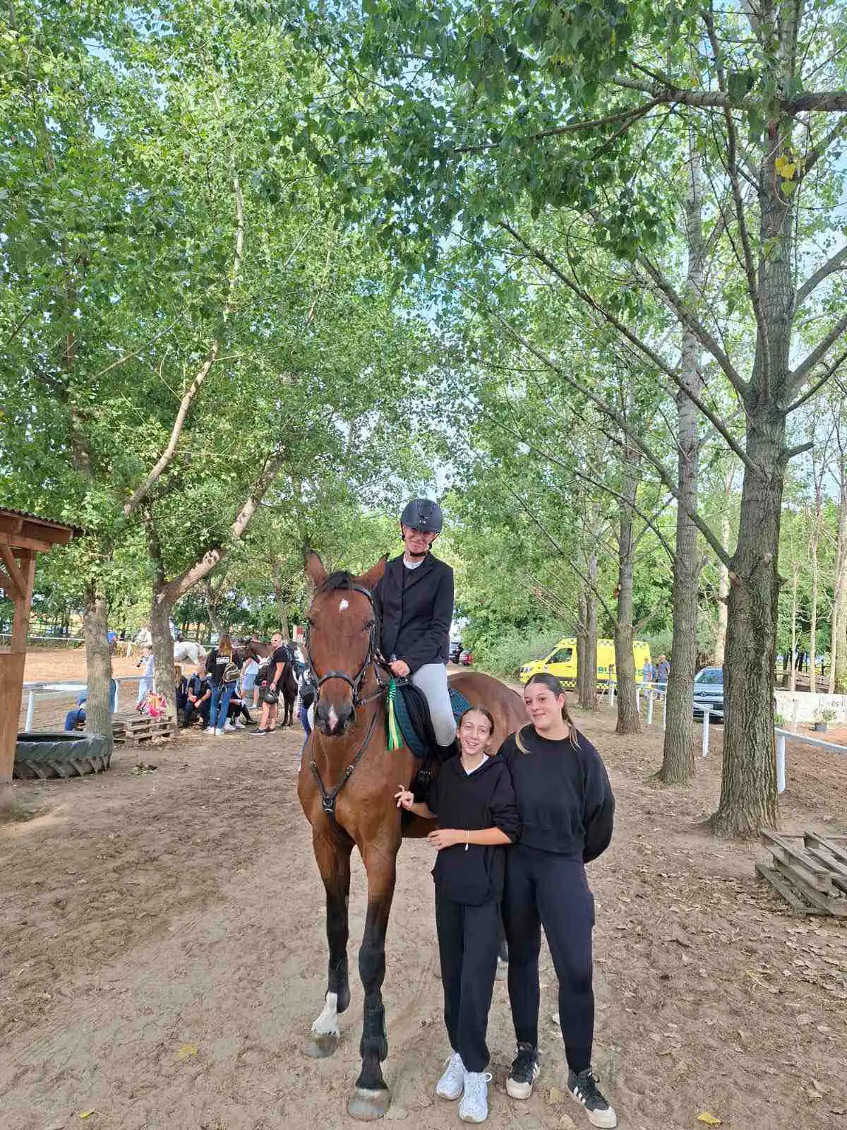 Equarion galéria kép 35