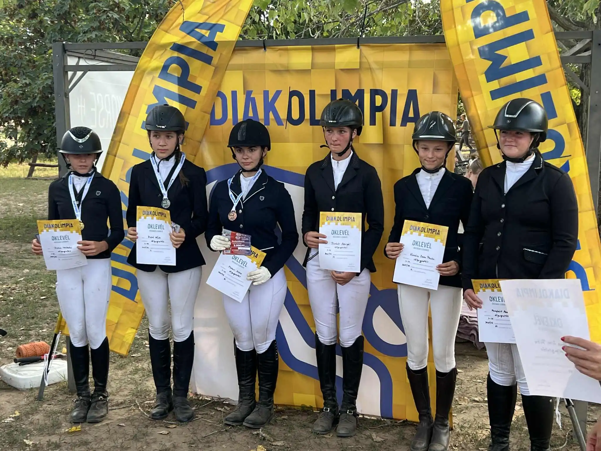 Equarion galéria kép 1