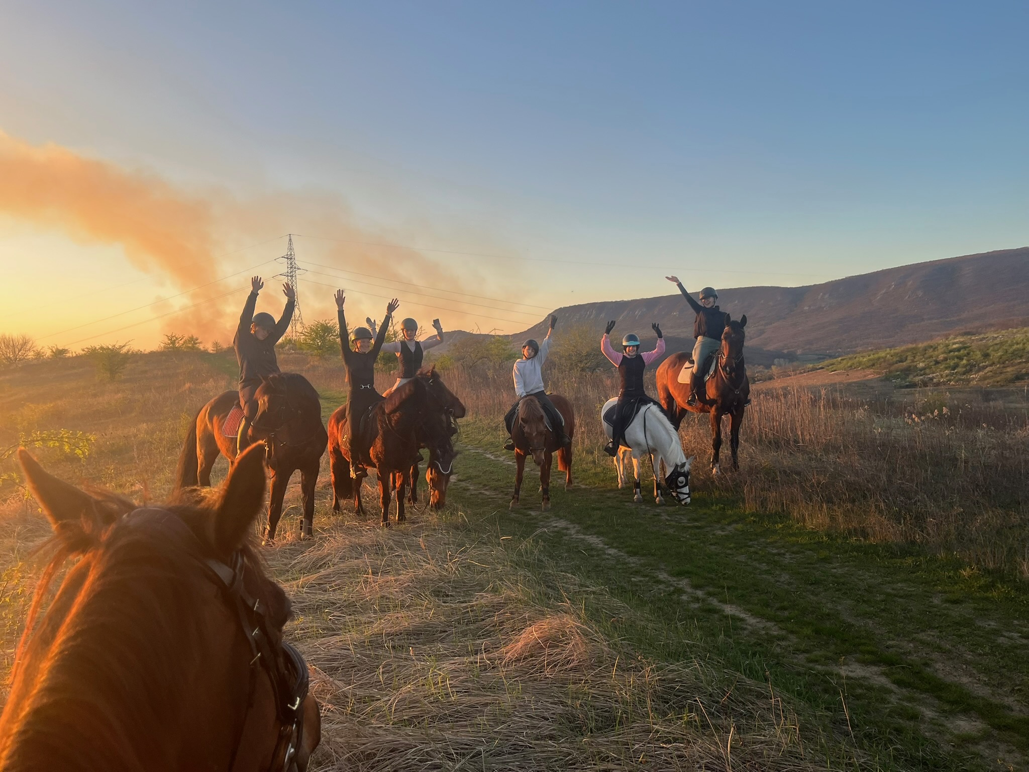 Lovak a természetben